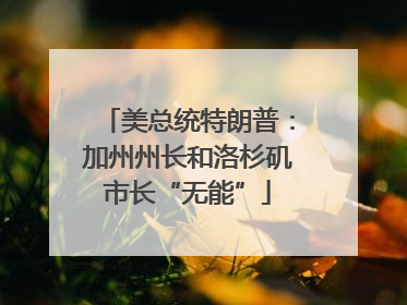 美总统特朗普：加州州长和洛杉矶市长“无能”