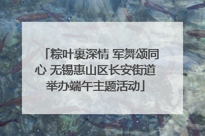粽叶裹深情 军舞颂同心 无锡惠山区长安街道举办端午主题活动