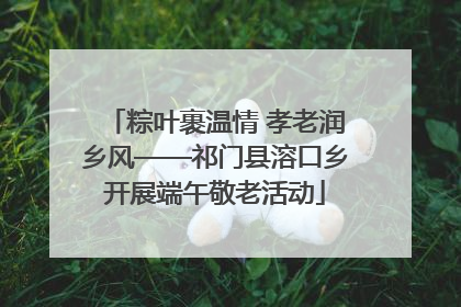 粽叶裹温情 孝老润乡风——祁门县溶口乡开展端午敬老活动