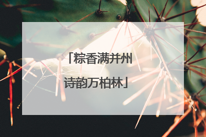 粽香满并州 诗韵万柏林