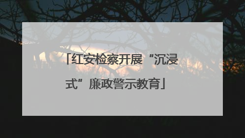 红安检察开展“沉浸式”廉政警示教育