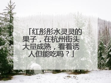 红彤彤水灵灵的果子，在杭州街头大量成熟，看着诱人但能吃吗？