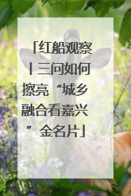 红船观察丨三问如何擦亮“城乡融合看嘉兴”金名片