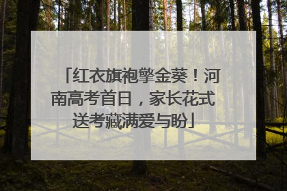红衣旗袍擎金葵！河南高考首日，家长花式送考藏满爱与盼