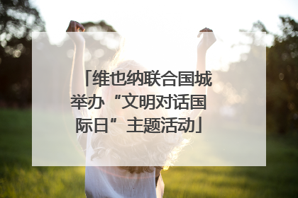 维也纳联合国城举办“文明对话国际日”主题活动