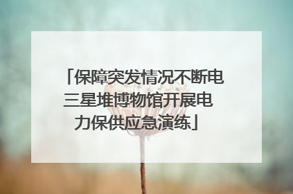 保障突发情况不断电 三星堆博物馆开展电力保供应急演练
