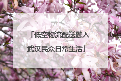 低空物流配送融入武汉民众日常生活