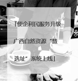 便企利民服务升级 广西自然资源“慧选址”系统上线