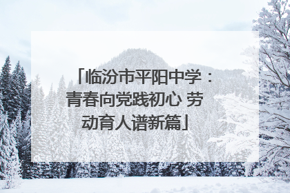 临汾市平阳中学：青春向党践初心 劳动育人谱新篇