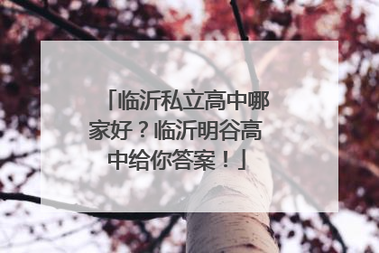 临沂私立高中哪家好？临沂明谷高中给你答案！