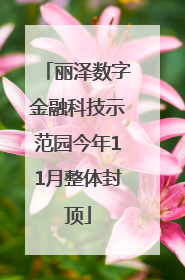 丽泽数字金融科技示范园今年11月整体封顶