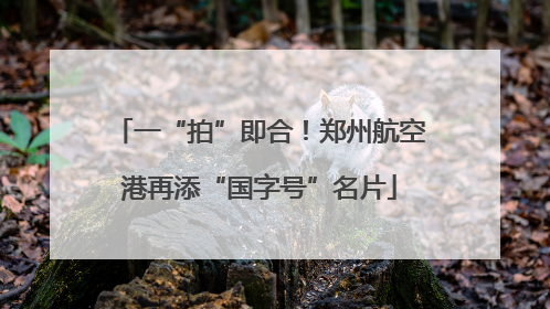一“拍”即合！郑州航空港再添“国字号”名片