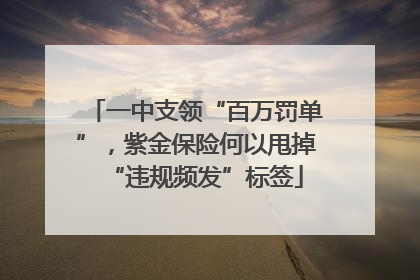 一中支领“百万罚单”，紫金保险何以甩掉“违规频发”标签