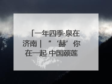 一年四季·泉在济南｜“‘赫’你在一起 中国颐莲喷雾节”：解锁济南夏日消费热潮中的国货新势力