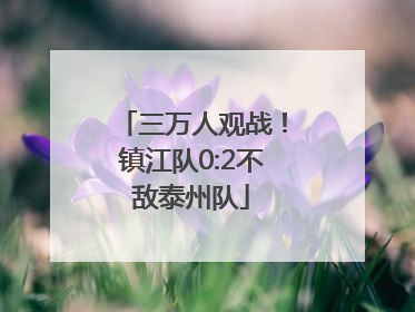 三万人观战！镇江队0:2不敌泰州队