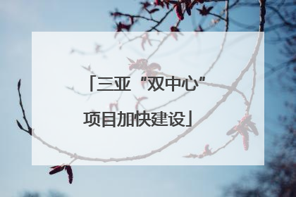 三亚“双中心”项目加快建设