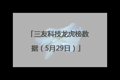 三友科技龙虎榜数据（5月29日）