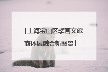 上海宝山区擘画文旅商体展融合新图景