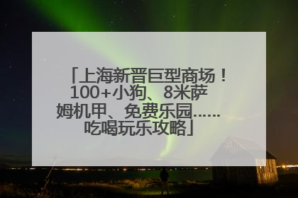 上海新晋巨型商场！100+小狗、8米萨姆机甲、免费乐园……吃喝玩乐攻略