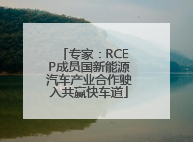 专家：RCEP成员国新能源汽车产业合作驶入共赢快车道
