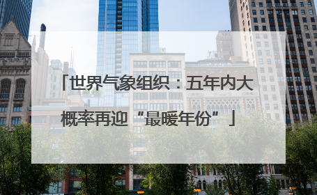 世界气象组织：五年内大概率再迎“最暖年份”