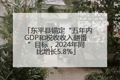 东平县锚定“五年内GDP和税收收入翻番”目标，2024年同比增长5.8%