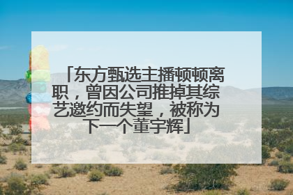 东方甄选主播顿顿离职，曾因公司推掉其综艺邀约而失望，被称为下一个董宇辉