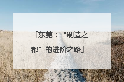 东莞：“制造之都”的进阶之路
