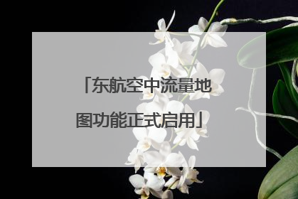 东航空中流量地图功能正式启用