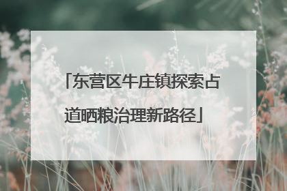 东营区牛庄镇探索占道晒粮治理新路径