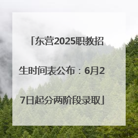 东营2025职教招生时间表公布：6月27日起分两阶段录取