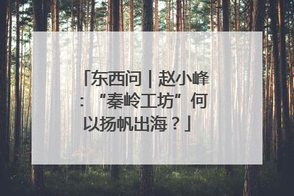 东西问｜赵小峰：“秦岭工坊”何以扬帆出海？