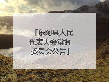 东阿县人民代表大会常务委员会公告