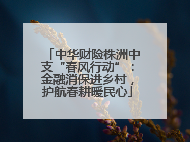 中华财险株洲中支“春风行动”：金融消保进乡村，护航春耕暖民心
