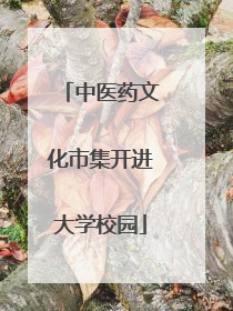 中医药文化市集开进大学校园
