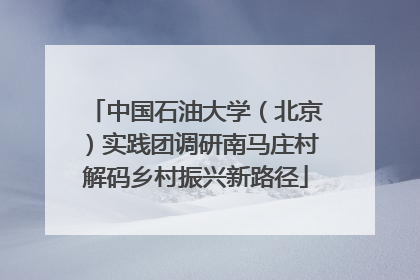 中国石油大学（北京）实践团调研南马庄村解码乡村振兴新路径