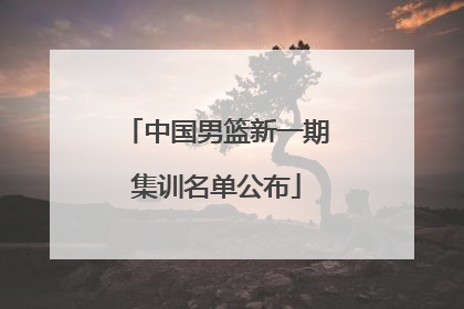 中国男篮新一期集训名单公布