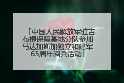 中国人民解放军驻吉布提保障基地分队参加马达加斯加独立和建军65周年阅兵活动