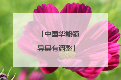中国华能领导层有调整