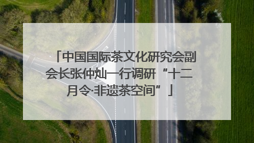 中国国际茶文化研究会副会长张仲灿一行调研“十二月令·非遗茶空间”