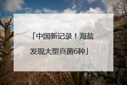 中国新记录！海盐发现大型真菌6种