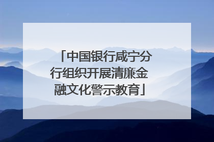 中国银行咸宁分行组织开展清廉金融文化警示教育