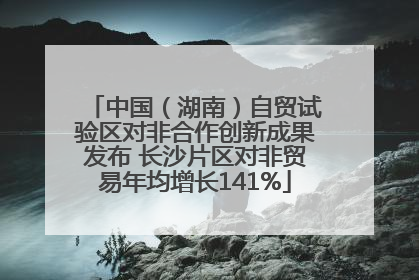 中国（湖南）自贸试验区对非合作创新成果发布 长沙片区对非贸易年均增长141%