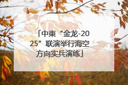 中柬“金龙-2025”联演举行海空方向实兵演练