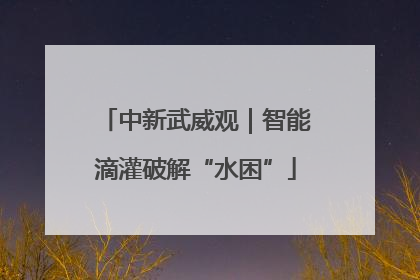 中新武威观｜智能滴灌破解“水困”