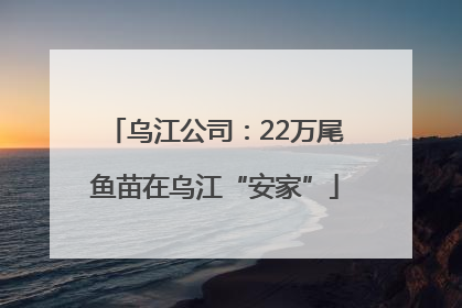 乌江公司：22万尾鱼苗在乌江“安家”