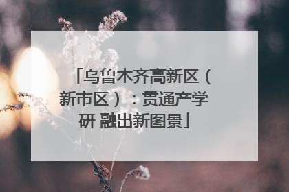 乌鲁木齐高新区（新市区）：贯通产学研 融出新图景