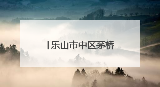 乐山市中区茅桥幼儿园：同频共振，聚力共生