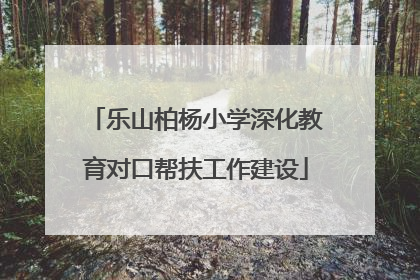 乐山柏杨小学深化教育对口帮扶工作建设