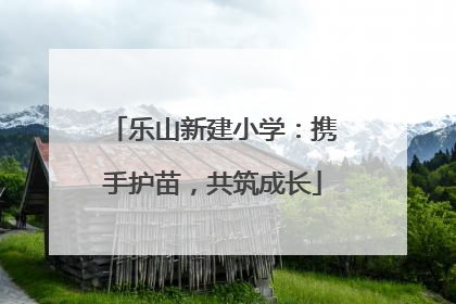 乐山新建小学：携手护苗，共筑成长